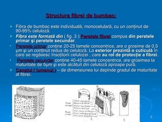Structura fibrei de lână