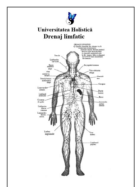 Imagine: drenaj limfatic manual pentru edem în sarcină