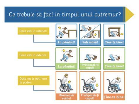 Infografic: cum se transmite toxoplasmoza si masuri de preventie in timpul sarcinii