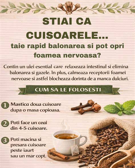 Infografic: cum acționează drotaverina asupra musculaturii netede