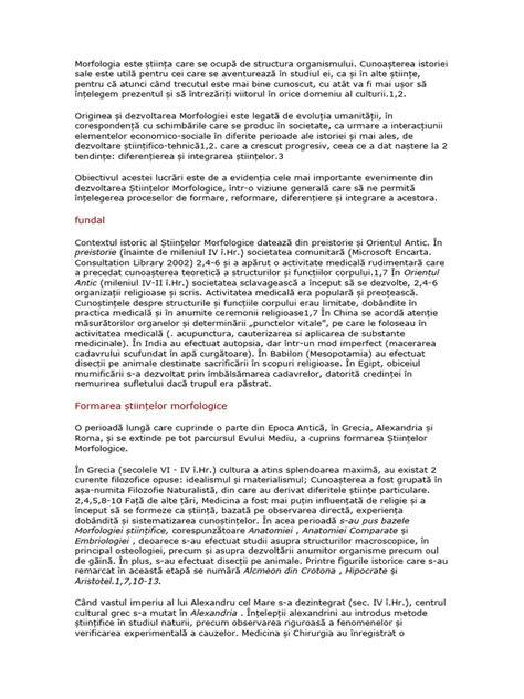 Infografic: Cronologia morfologiei fetale pe trimestere