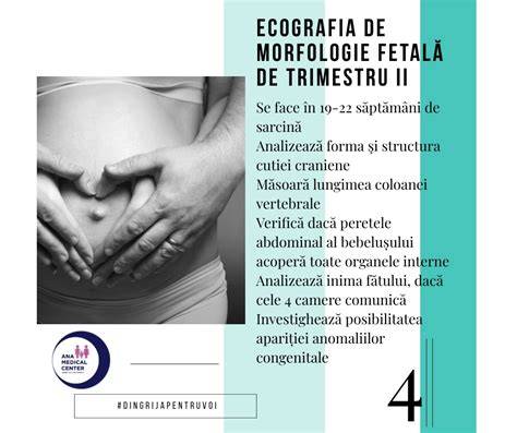 grafic_fărătext_morfologie_trimestru_III