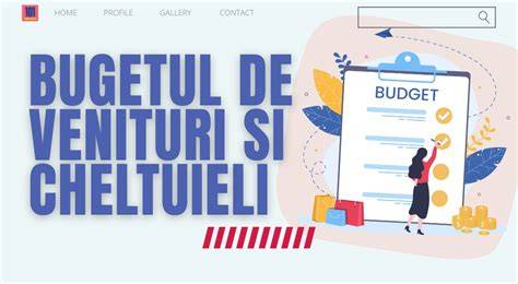 Infografic: Schiță de buget de vânzări: venituri, cheltuieli, profit