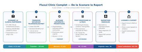 Infografic: Rolul DPO în organizație și fluxul de raportare