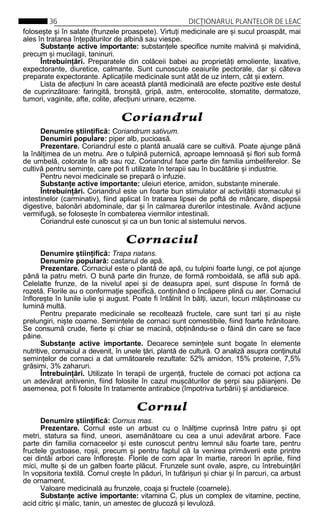 Lista plantelor cu efecte asupra sarcinii - avertismente