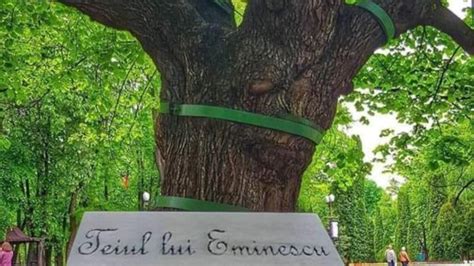 Infografic: linia timpului ultimilor ani de viață ai lui Eminescu
