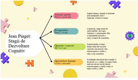Diagrama stadiilor dezvoltării cognitive Piaget