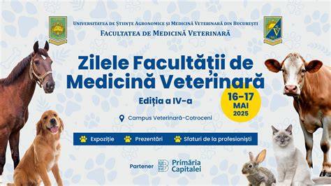 Schema procesului de educație în medicina veterinară