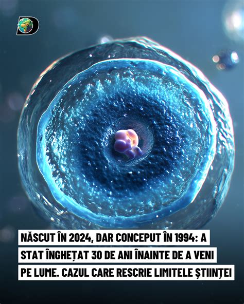 Imagine cu un embrion uman în stadiul de blastocist