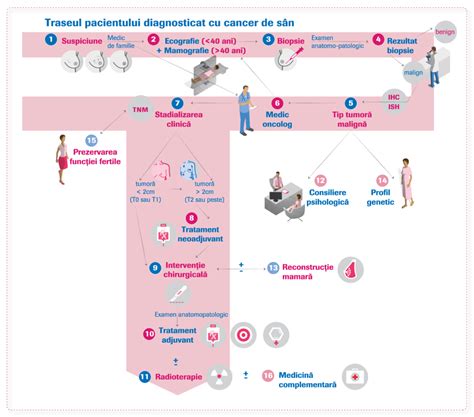 Infografic cu traseul pacientei în Centru Iris (programare, consult, tratament)