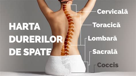 Infografic despre cauzele durerilor pelviene în sarcină