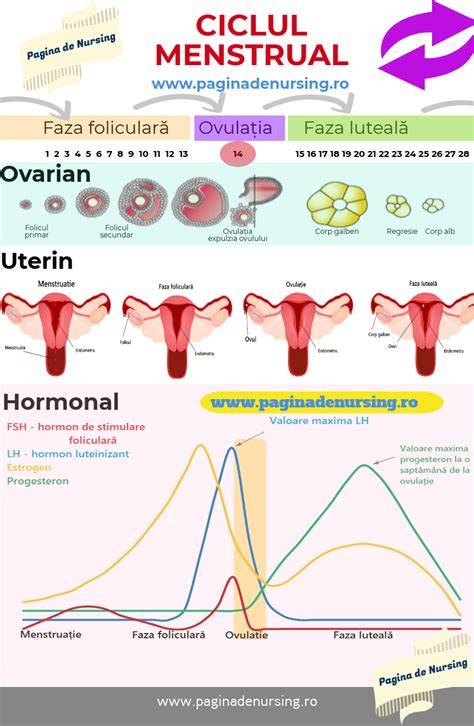 Infografic: ciclul colicilor la sugari - de la debut la dispariție