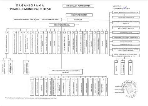 Infografic: organigrama clinicilor si specialități Spital Municipal Fălticeni