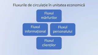 Infografic: structura Maternității Bega și fluxul de intervenții