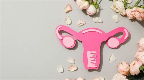 schema comparativă a diferitelor tipuri de malformații uterine