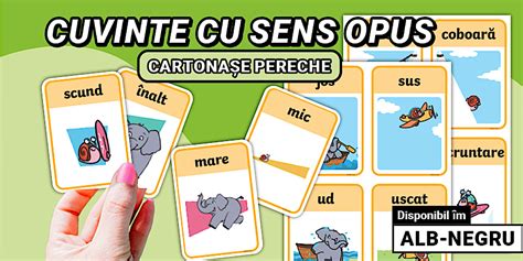 Cartonașe cu cuvinte și jocuri de descriere