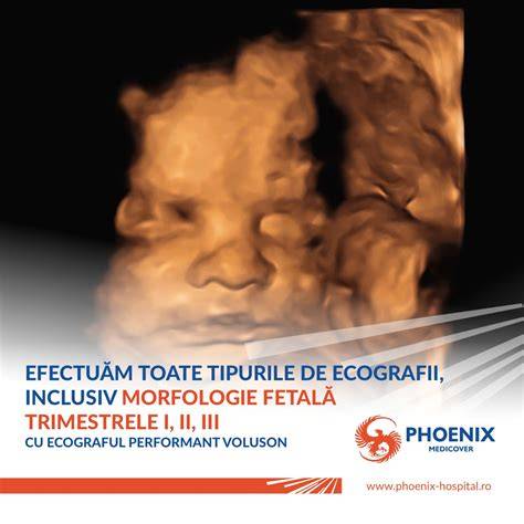fluxuri Doppler în morfologie fetală II