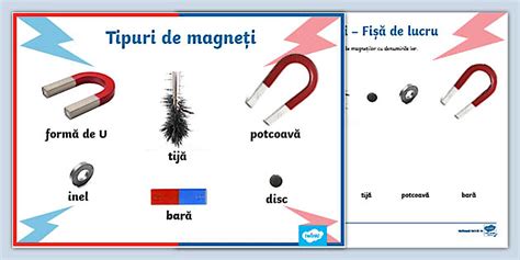 Infografic: Principiul câmpului magnetic și tipuri de magneți de ridicare