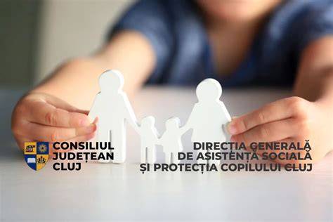 Schema proceselor protecției copilului în cadrul sistemului de asistență socială