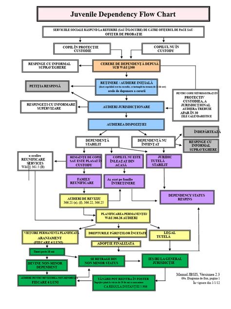 Diagrama fluxului de îngrijire neonatală în județul Botoșani