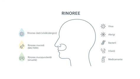 Diagramă interactivă: semnele de alarmă la colici și când să cauți ajutor medical