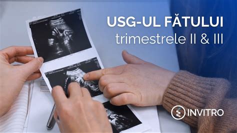 Infografic: etapele ecografice în timpul sarcinii (trimestrul I, II, III) - 3D/4D