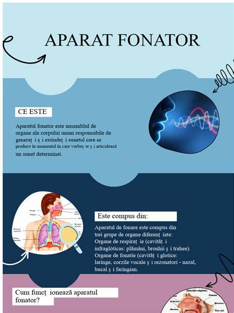 Infografic proces îngrijire obstetrică-ginecologică