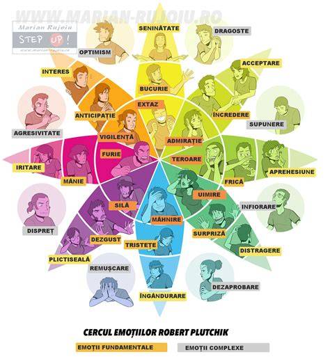 Ilustratii originale care sustin intelegerea textului si conectarea cu emotii pozitive