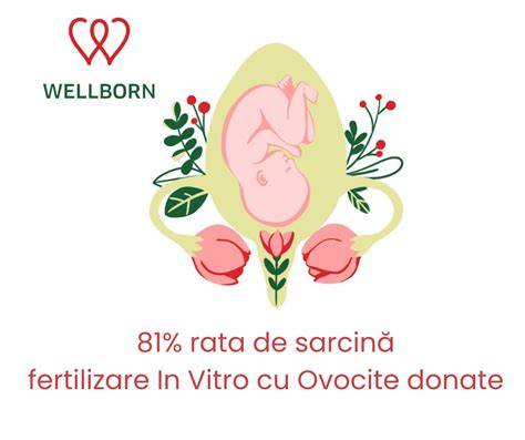 Harta proceselor FIV cu ovocite donate: selecția donatoarei, stimulare, colectare, fertilizare, transfer