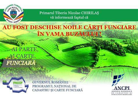 Diagramă: Fluxul verificărilor pentru litigiile în cartea funciară