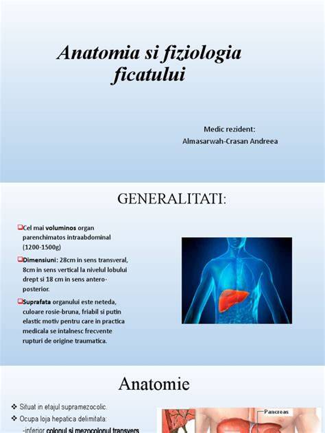 Infografica: Fiziologia sarcinii si influenta asupra libidoului
