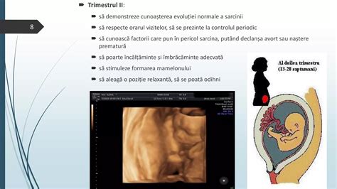 Schema evoluției fătului în trimestrul 3