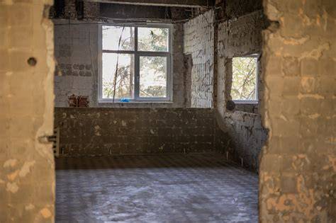 Infografic: structura și așezarea Secțiilor Maternității Polizu