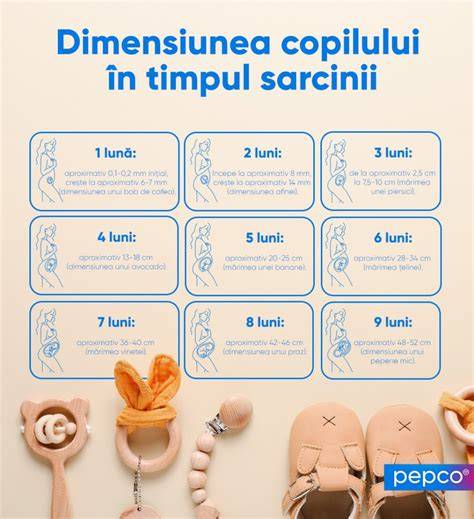 Infografic: etape sarcină și estimări lună/lună