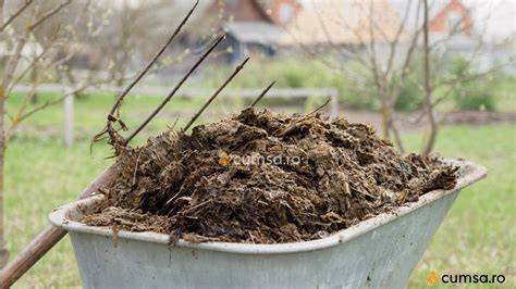 Fertilizare naturală: gunoi de grajd, compost, reziduuri vegetale