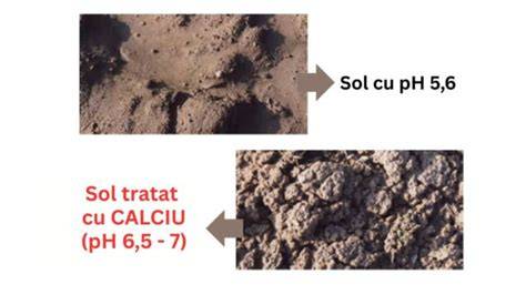 Calarea solului pentru reglarea pH-ului