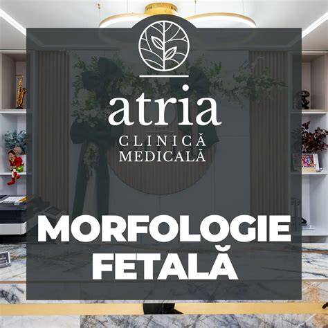 Logo FMF și grafic morfologie fetală