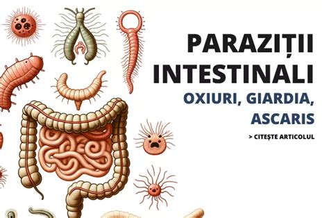 Infografic despre tipurile de paraziți intestinali