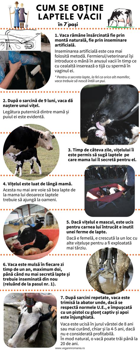 Infografic despre cantitatea de lapte recomandată pentru copii