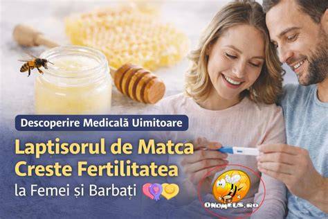 Infografic: mecanismul acțiunii lăptișorului de matcă asupra fertilității