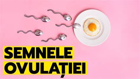 Infografic - Fereastra fertilă și semnele ovulației
