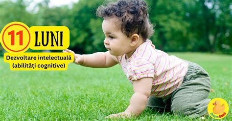 Infografic: etape dezvoltare bebe 7-10 luni, abilitati motoare si cognitive