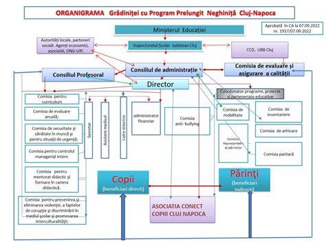 Infografic: structura departamentelor si fluxul de ingrijire obstetrica-ginecologica