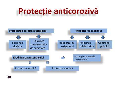 Diagramă: Căi de protecție a mediului prenatal în islam