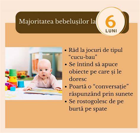 Infografie: etape dezvoltare 6 luni