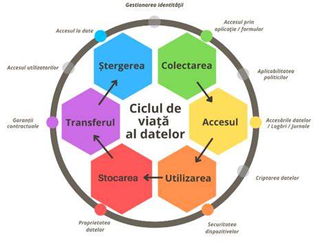 Infografic: Fluxul de transfer al datelor imagistice în Spitalul Dr. Victor Gomoiu