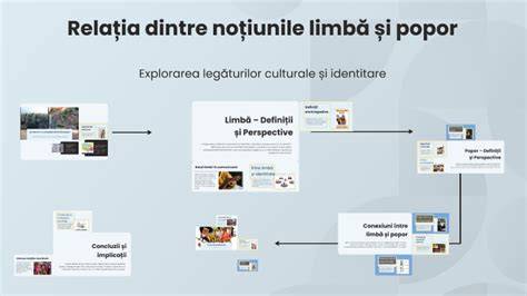 Infografic: Relația dintre limbă maternă, limbă străină și transfer lingvistic