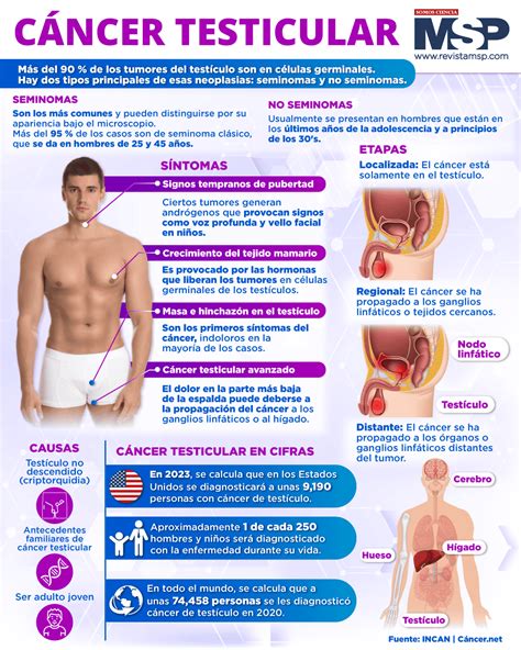 Grafic comparativ al riscului de cancer testicular