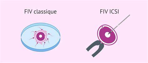 Schema decizionala IA vs FIV - flux decizional