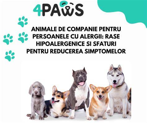 Schema de precautii pentru alergii si infectii asociate cu animalele